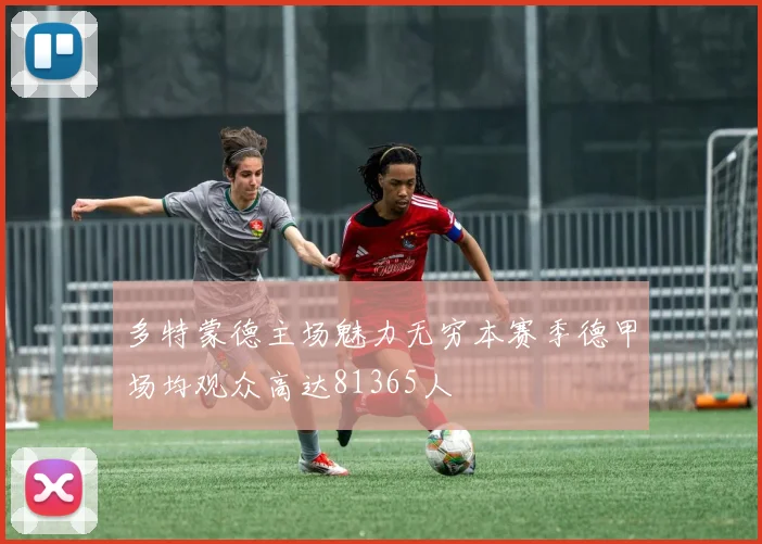 多特蒙德主场魅力无穷本赛季德甲场均观众高达81365人